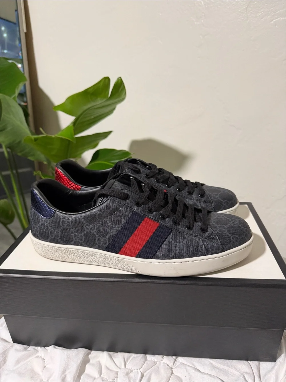 Gucci Ace GG Supreme canvas sneakers. Authentic